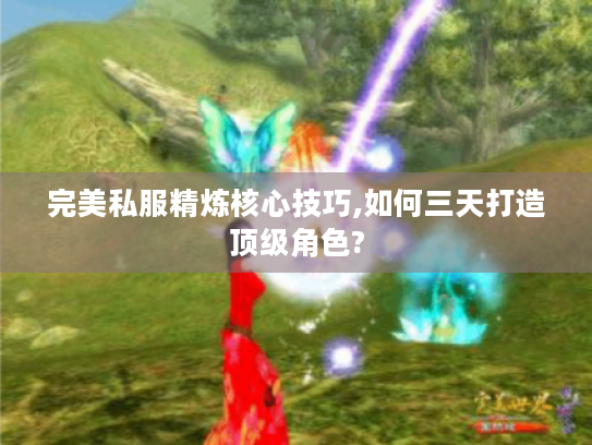 完美私服精炼核心技巧,如何三天打造顶级角色? 完美私服精炼核心技巧,如何三天打造顶级角色?