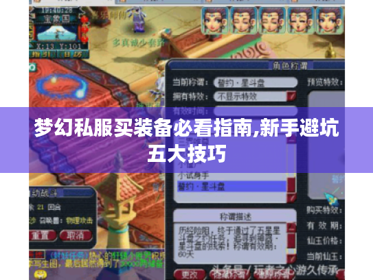梦幻私服买装备必看指南,新手避坑五大技巧 梦幻私服买装备必看指南,新手避坑五大技巧