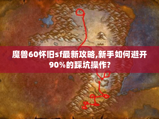 魔兽60怀旧sf最新攻略,新手如何避开90%的踩坑操作? 魔兽60怀旧sf最新攻略,新手如何避开90%的踩坑操作?