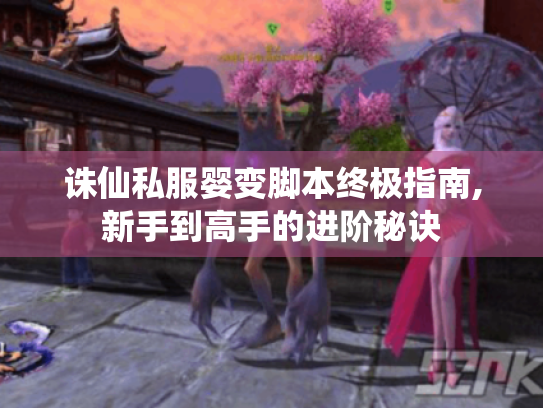 诛仙私服婴变脚本终极指南,新手到高手的进阶秘诀 诛仙私服婴变脚本终极指南,新手到高手的进阶秘诀