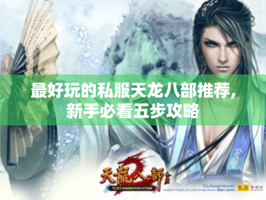 最好玩的私服天龙八部推荐,新手必看五步攻略 最好玩的私服天龙八部推荐,新手必看五步攻略