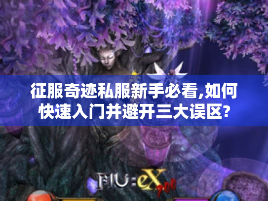 征服奇迹私服新手必看,如何快速入门并避开三大误区?