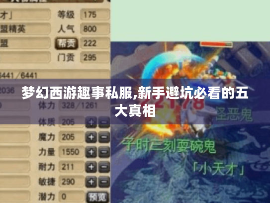 梦幻西游趣事私服,新手避坑必看的五大真相 梦幻西游趣事私服,新手避坑必看的五大真相