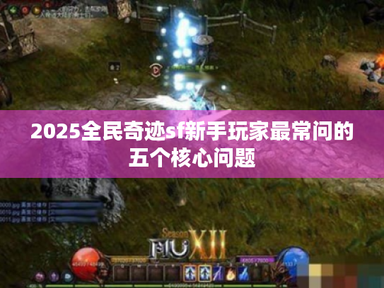 2025全民奇迹sf新手玩家最常问的五个核心问题 2025全民奇迹sf新手玩家最常问的五个核心问题