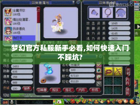 梦幻官方私服新手必看,如何快速入门不踩坑? 梦幻官方私服新手必看,如何快速入门不踩坑?