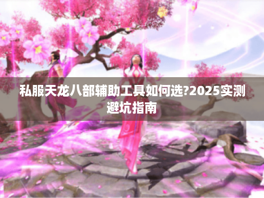 私服天龙八部辅助工具如何选?2025实测避坑指南 私服天龙八部辅助工具如何选?2025实测避坑指南