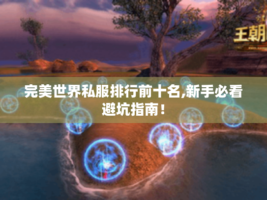 完美世界私服排行前十名,新手必看避坑指南! 完美世界私服排行前十名,新手必看避坑指南!