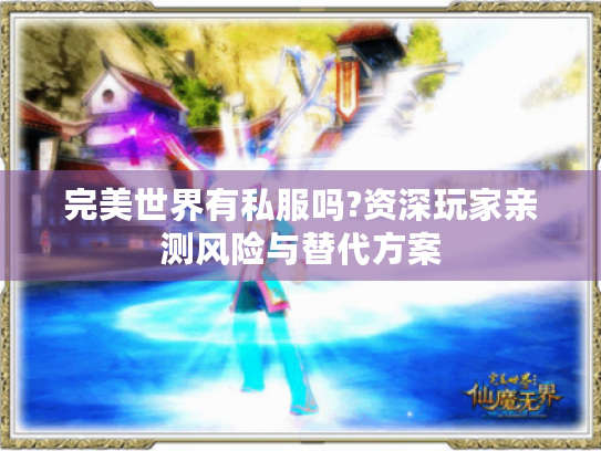 完美世界有私服吗?资深玩家亲测风险与替代方案