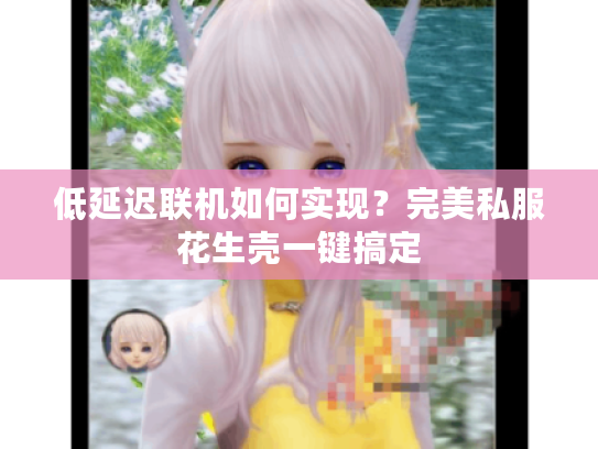 低延迟联机如何实现?完美私服花生壳一键搞定 低延迟联机如何实现?完美私服花生壳一键搞定