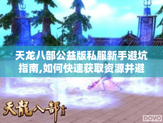 天龙八部公益版私服新手避坑指南,如何快速获取资源并避免踩雷?
