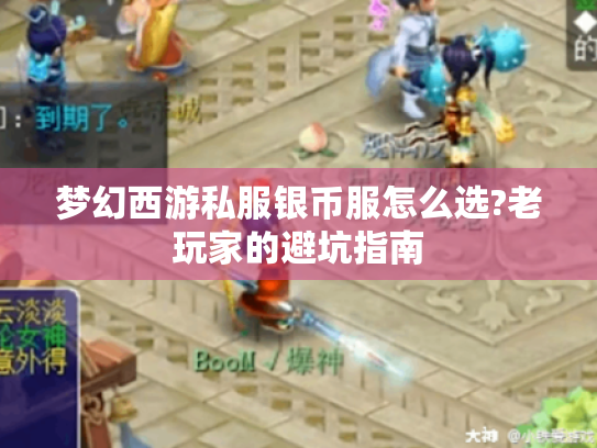 梦幻西游私服银币服怎么选?老玩家的避坑指南 梦幻西游私服银币服怎么选?老玩家的避坑指南