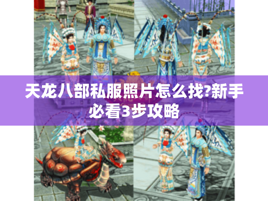 天龙八部私服照片怎么找?新手必看3步攻略 天龙八部私服照片怎么找?新手必看3步攻略