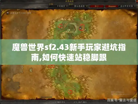 魔兽世界sf2.43新手玩家避坑指南,如何快速站稳脚跟