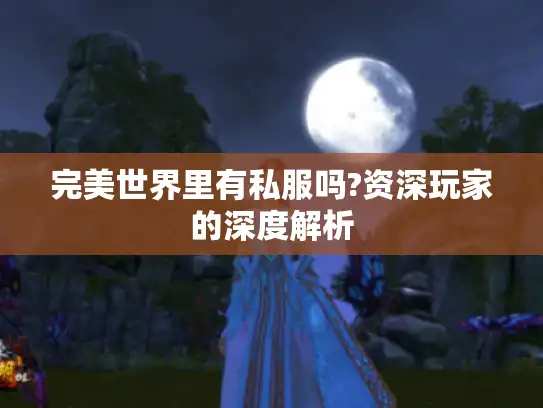 完美世界里有私服吗?资深玩家的深度解析