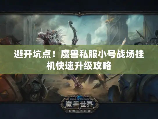 避开坑点！魔兽私服小号战场挂机快速升级攻略