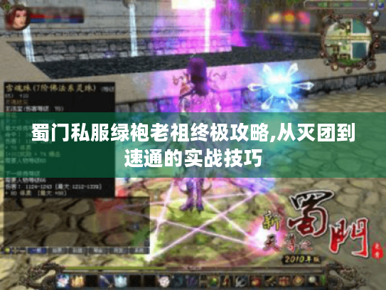 蜀门私服绿袍老祖终极攻略,从灭团到速通的实战技巧 蜀门私服绿袍老祖终极攻略,从灭团到速通的实战技巧