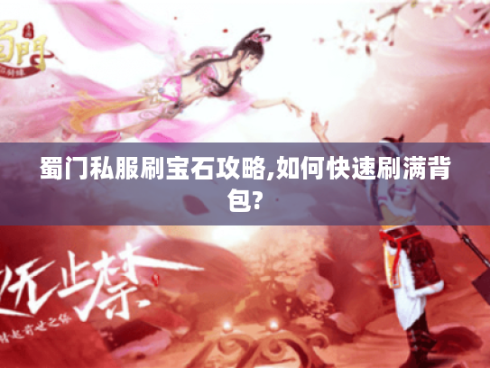 蜀门私服刷宝石攻略,如何快速刷满背包?