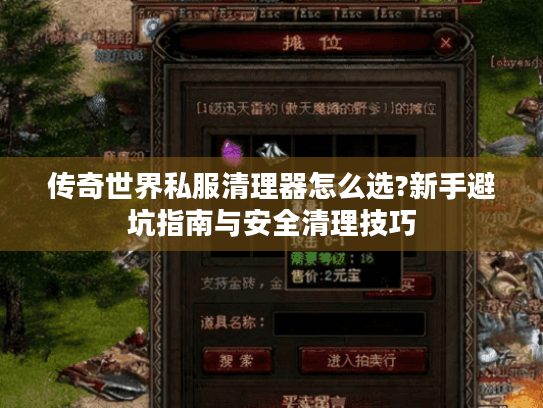 传奇世界私服清理器怎么选?新手避坑指南与安全清理技巧
