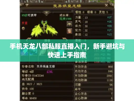 手机天龙八部私服直播入门，新手避坑与快速上手指南