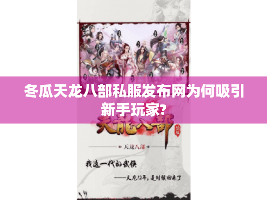 冬瓜天龙八部私服发布网为何吸引新手玩家?