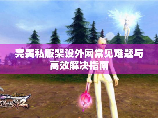 完美私服架设外网常见难题与高效解决指南 完美私服架设外网常见难题与高效解决指南