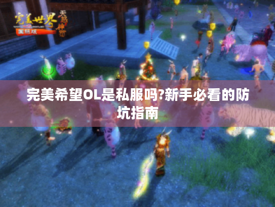 完美希望OL是私服吗?新手必看的防坑指南 完美希望OL是私服吗?新手必看的防坑指南