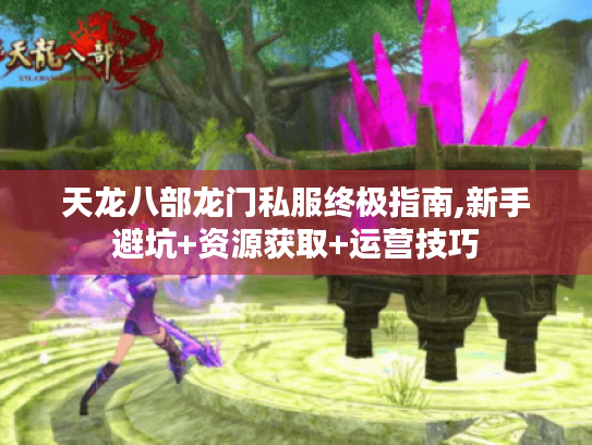 天龙八部龙门私服终极指南,新手避坑+资源获取+运营技巧 天龙八部龙门私服终极指南,新手避坑+资源获取+运营技巧