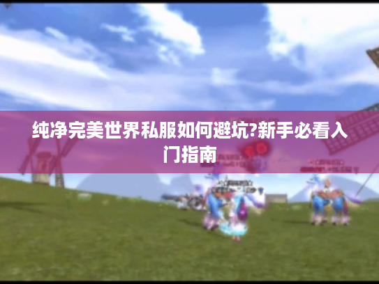 纯净完美世界私服如何避坑?新手必看入门指南