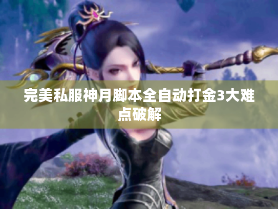 完美私服神月脚本全自动打金3大难点破解