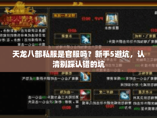 天龙八部私服是官服吗？新手5避坑，认清别踩认错的坑