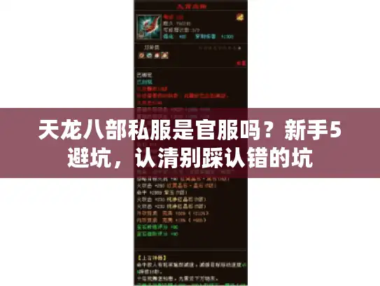 天龙八部私服是官服吗？新手5避坑，认清别踩认错的坑