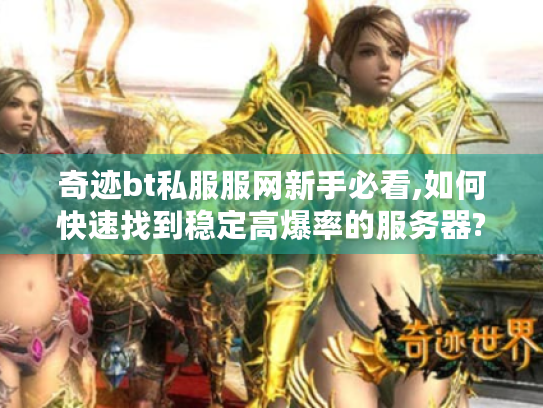 奇迹bt私服服网新手必看,如何快速找到稳定高爆率的服务器?