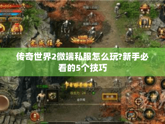 传奇世界2微端私服怎么玩?新手必看的5个技巧 传奇世界2微端私服怎么玩?新手必看的5个技巧