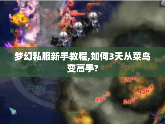 梦幻私服新手教程,如何3天从菜鸟变高手?