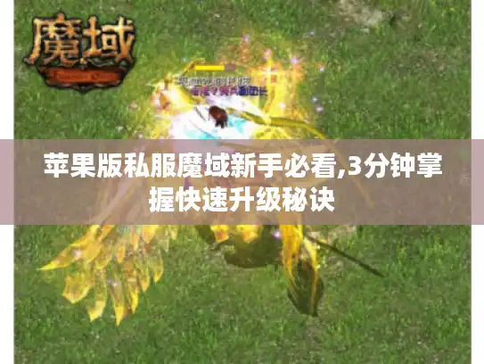 苹果版私服魔域新手必看,3分钟掌握快速升级秘诀