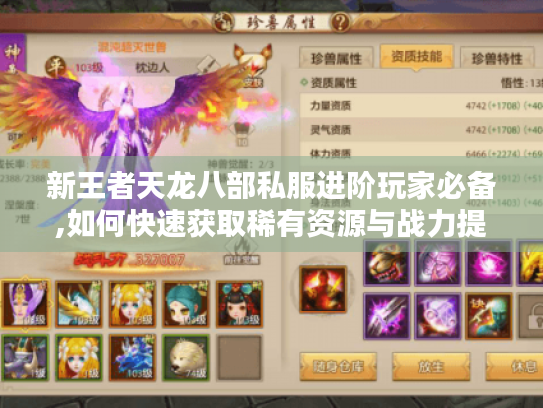 新王者天龙八部私服进阶玩家必备,如何快速获取稀有资源与战力提升? 新王者天龙八部私服进阶玩家必备,如何快速获取稀有资源与战力提升?