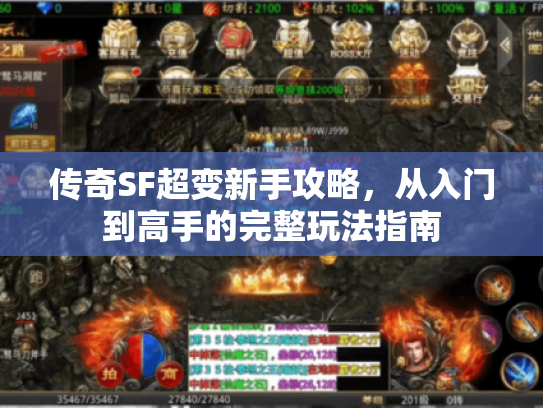 传奇SF超变新手攻略,从入门到高手的完整玩法指南 传奇SF超变新手攻略,从入门到高手的完整玩法指南