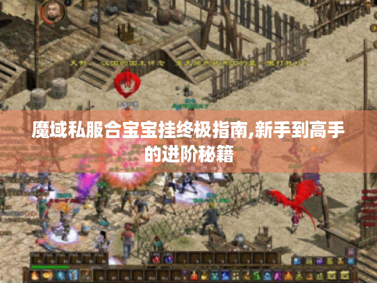 魔域私服合宝宝挂终极指南,新手到高手的进阶秘籍