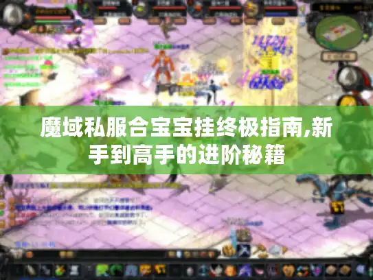 魔域私服合宝宝挂终极指南,新手到高手的进阶秘籍