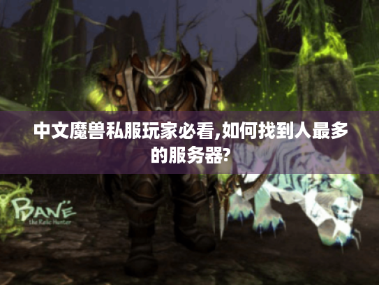 中文魔兽私服玩家必看,如何找到人最多的服务器?