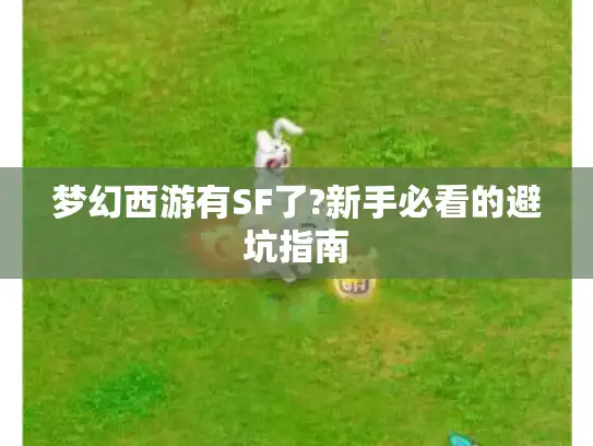 梦幻西游有SF了?新手必看的避坑指南