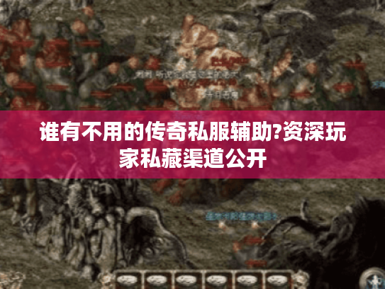 谁有不用的传奇私服辅助?资深玩家私藏渠道公开 谁有不用的传奇私服辅助?资深玩家私藏渠道公开