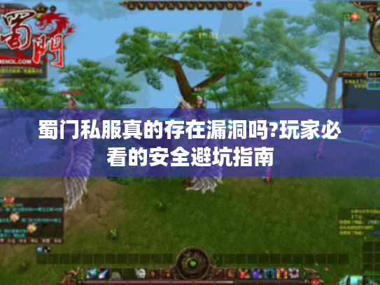 蜀门私服真的存在漏洞吗?玩家必看的安全避坑指南