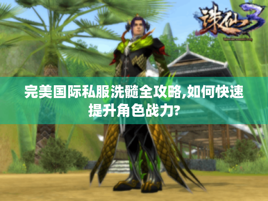 完美国际私服洗髓全攻略,如何快速提升角色战力?