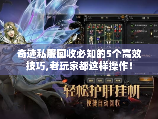奇迹私服回收必知的5个高效技巧,老玩家都这样操作! 奇迹私服回收必知的5个高效技巧,老玩家都这样操作!