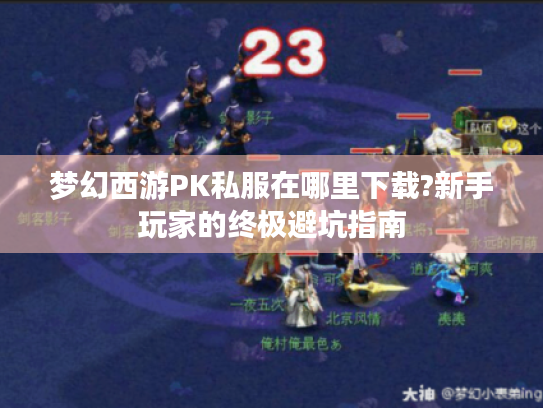 梦幻西游PK私服在哪里下载?新手玩家的终极避坑指南