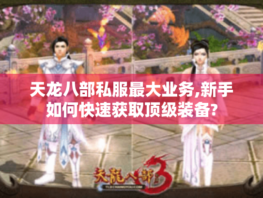 天龙八部私服最大业务,新手如何快速获取顶级装备? 天龙八部私服最大业务,新手如何快速获取顶级装备?