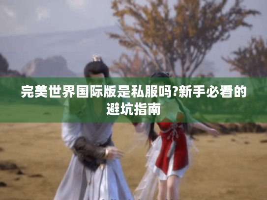 完美世界国际版是私服吗?新手必看的避坑指南 完美世界国际版是私服吗?新手必看的避坑指南