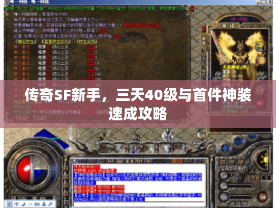 传奇SF新手，三天40级与首件神装速成攻略