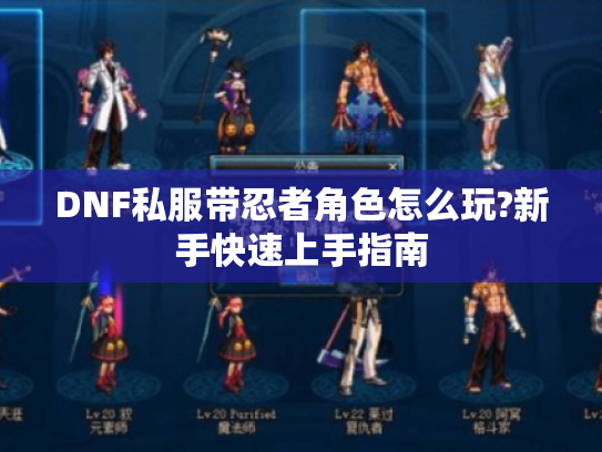 DNF私服带忍者角色怎么玩?新手快速上手指南 DNF私服带忍者角色怎么玩?新手快速上手指南